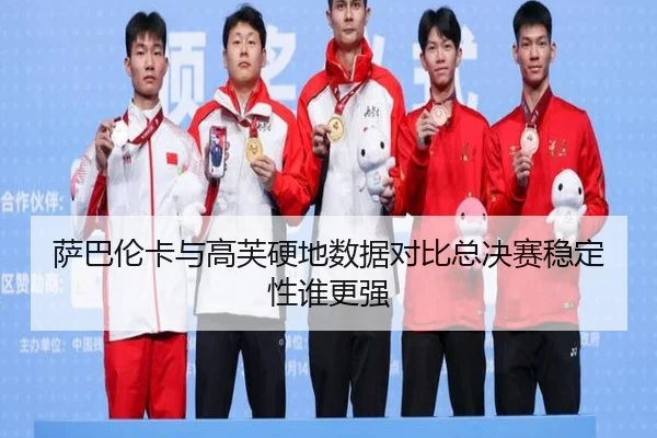 萨巴伦卡与高芙硬地数据对比总决赛稳定性谁更强